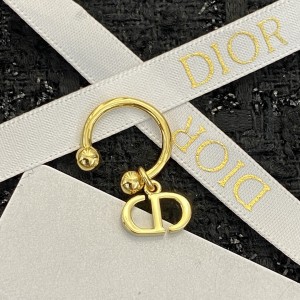 Fashion Jewelry Accessories Earrings Dior Earrings Petit CD Earrings Gold Earrings E1870