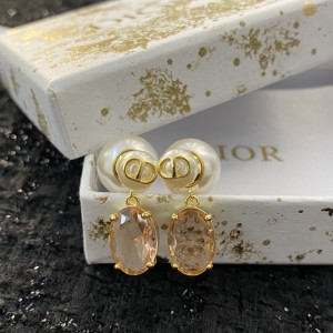 Fashion Jewelry Accessories Earrings Dior Tribales Earrings Gold Earrings E1855